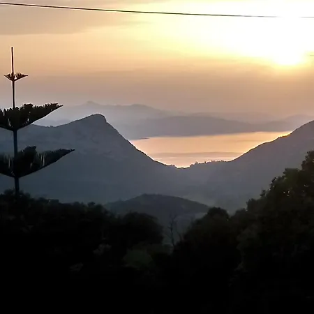 Curtalina *